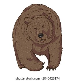 Vector Cartoon Brown Bear. Front View Illustration on White Background
