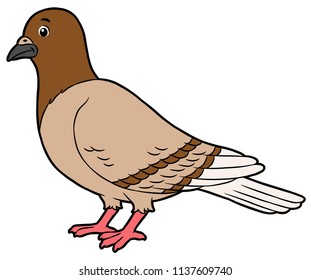 Vector Cartoon Brown Pigeon