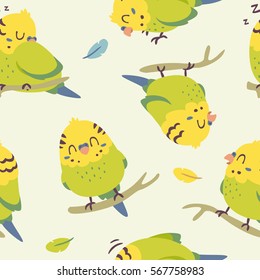 vector cartoon budgie parrot seamless pattern