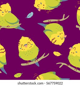 vector cartoon budgie parrot seamless pattern
