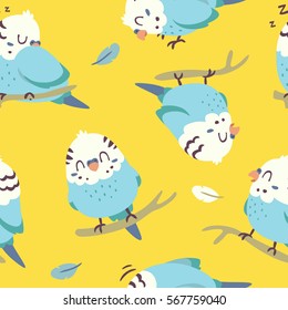 vector cartoon budgie parrot seamless pattern