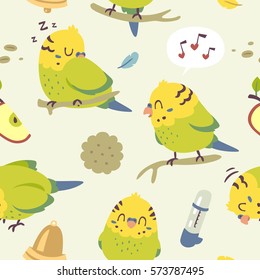 vector cartoon budgie parrot  seamless pattern