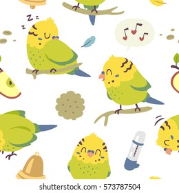 vector cartoon budgie parrot  seamless pattern