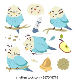 vector cartoon budgie parrot set