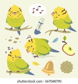 vector cartoon budgie parrot set