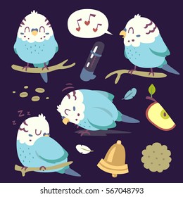 vector cartoon budgie parrot set