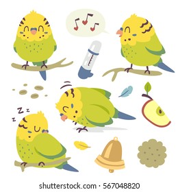 vector cartoon budgie parrot set