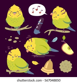 vector cartoon budgie parrot set