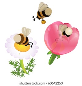 vector cartoon bumblebees