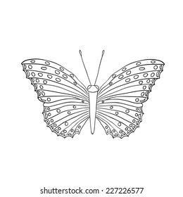vector cartoon butterfly, isolated on white background
