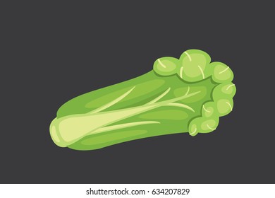 vector cartoon Cabbage green vegetable