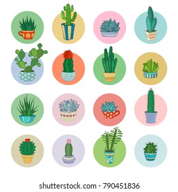 Vector cartoon cacti and succulent icon set. Various cactuses and succulents in flower pots and cups with prickles, flowers and without. Round shapes.
