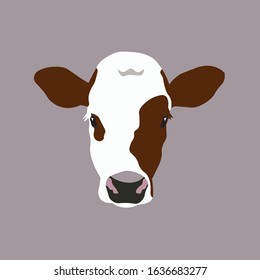 Vector cartoon calf head isolated on grey background. Cow calf. Farm animal. Mammal. Neat head. Easy editable layered. Icon, sign, symbol, eco banner.