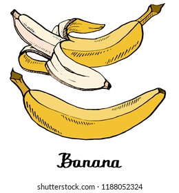 Vector cartoon calligraphy coloured bananas poster for t-shirt, textile, web, icon, card, craft