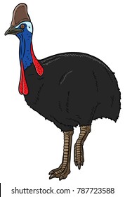 Vector Cartoon Cassowary Bird