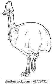 Vector Cartoon Cassowary Bird Line Art