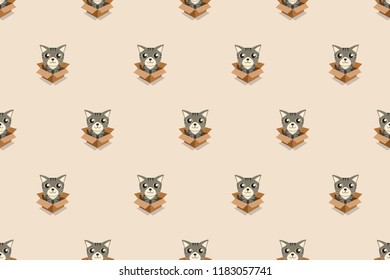 Vector cartoon cat in cardboard box seamless pattern for design.