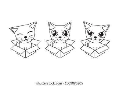 Vector cartoon cat in cardboard box for design.