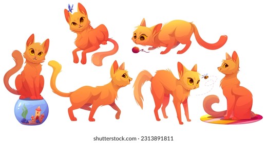 Vector cartoon cat character pose illustration set. Isolated funny ginger pet playful and curious clipart. Mascot posture emoticon expression with bee, ball and aquarium. Walking and lying red animal