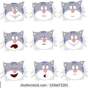 Vector cartoon cat with different emotions