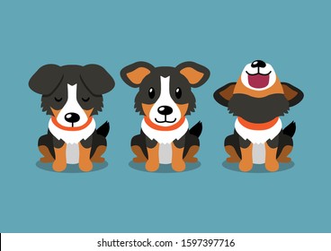 Vector cartoon character american shepherd dog poses for design.