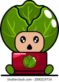 vector cartoon character of cabbage vegetable mascot costume at work