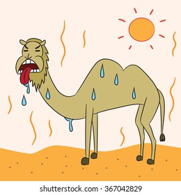 vector cartoon character camel desert