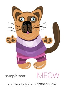 Vector cartoon character cat in clothes. White isolated background.