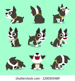 Vector cartoon character cute boston terrier dog poses set for design.
