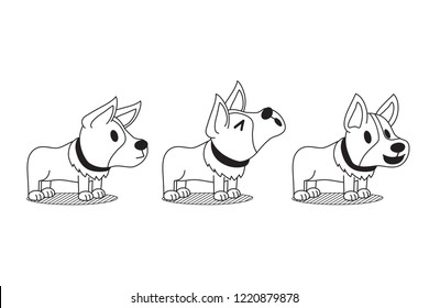 Vector cartoon character cute corgi dog poses set for design.