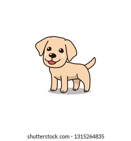 Vector cartoon character cute labrador retriever puppy dog for design.