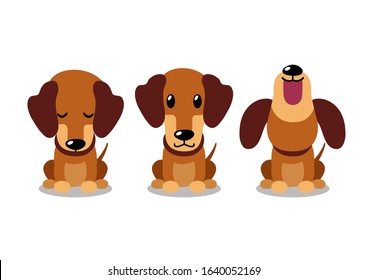 Vector cartoon character dachshund dog poses for design.