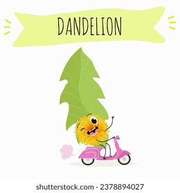 Vector cartoon character dandelion, funny character, medicinal plant, cooking.