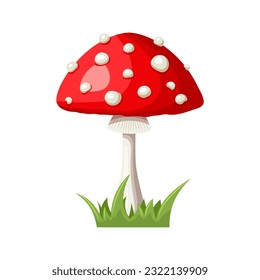 Vektorgrafik, Charakter Fly agaric oder Amanita muscaria mit Gras, flache Symbol.