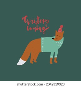 Vector cartoon character fox in knitted hat and sweater, lettering style quote: Christmas is coming