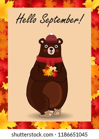 Vector cartoon character illustration of cute bear in red knitted scarf and hat holding maple leaves bouquet in paws framed with colored autumn border frame. Hello september typography design card.