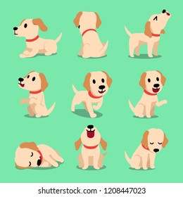 Vector cartoon character labrador dog poses for design.