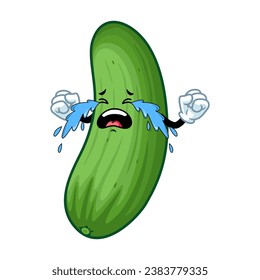 vector cartoon, character, and mascot of a cucumber with cry expression face.