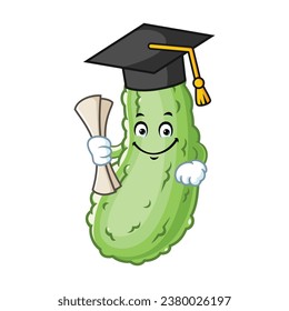 vector cartoon, character, and mascot of a pickle wearing graduation hat.