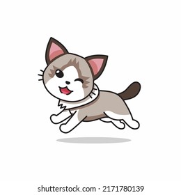 El personaje de caricatura vectorial ragdoll cat corre por su diseño.