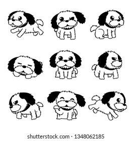 Vector cartoon character shih tzu dog poses for design 