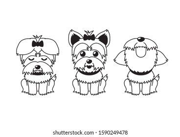 Vector cartoon character yorkshire terrier dog poses set for design.