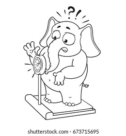 Vector cartoon characters of elephants on an isolated background. Weighed on the scales.