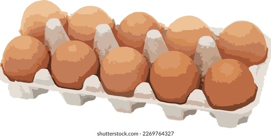 vector cartoon chicken egg illustration
