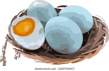 vector cartoon chicken egg illustration