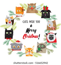 Vector cartoon Christmas background with cute cat characters. New Years post card design. Chistmas kitten holiday template