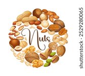 Vector cartoon circle frame from different nuts types such as cashew,walnuts,macadamia,brazil nut,pecan,hazelnut,peanut,pistachios,nutmeg,pine nuts,almond isolated on white background.	