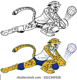 Vector cartoon clip art illustration of a lady wildcat, leopard, or jaguar volleyball player mascot doing a dig.  Character, ball, and uniform are on separate layers. In color and black and white.