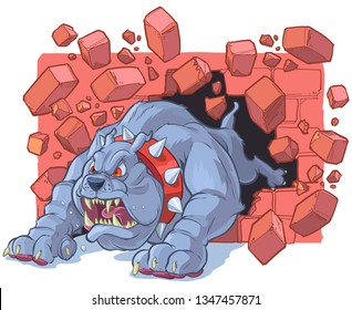 Vector cartoon clip art illustration of a large angry tough bulldog mascot with a spiked collar crashing through a brick wall.