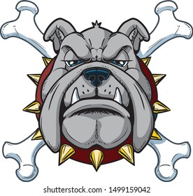Vector cartoon clip art illustration of a tough mean cartoon bulldog mascot head with crossbones with a spiked collar in separate layers.